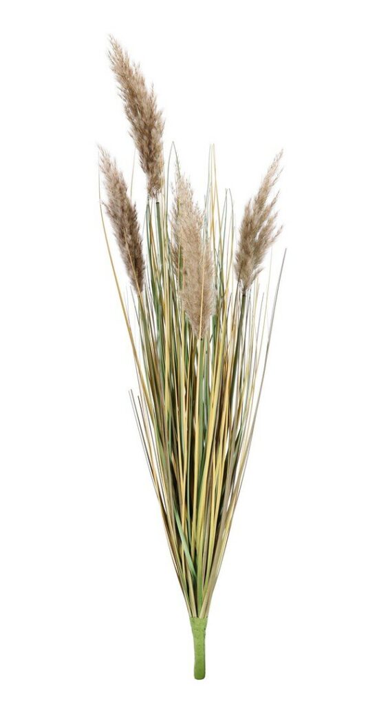 RAMA GYNERIUM PAMPAS H100