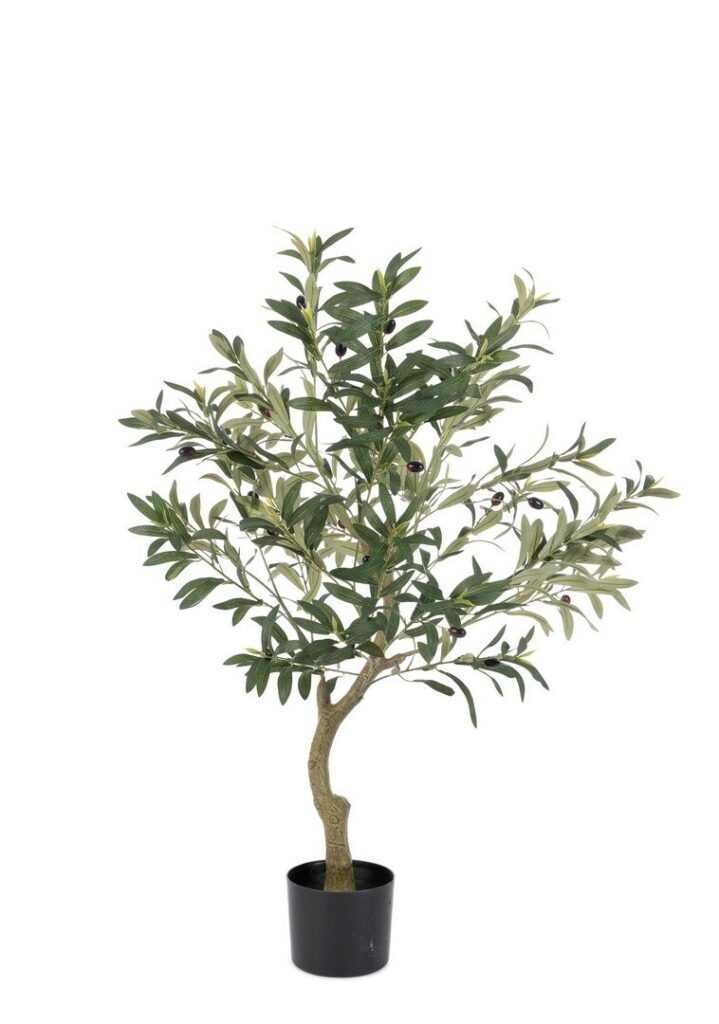 PFLANZE OLIVENBAUM M-TOPF H90