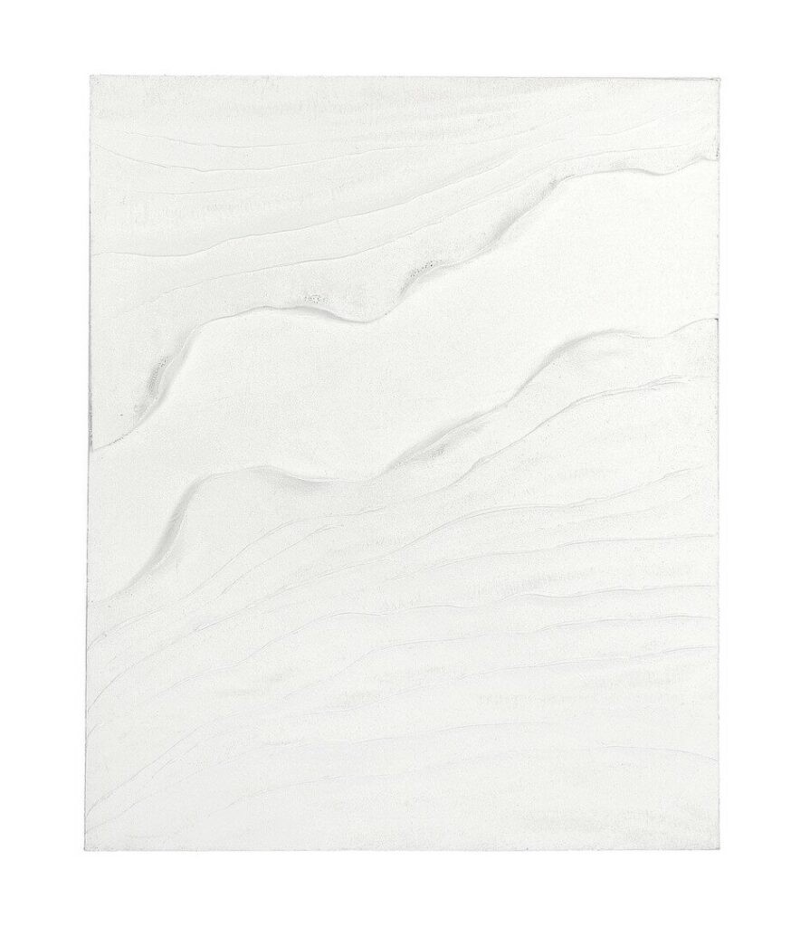BILD TEXTURE 895A 80X100