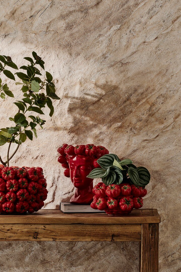 VASO GAZPACHO ROSSO TONDO D26
